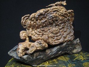 Tượng gỗ sưa - Nấm Linh Chi