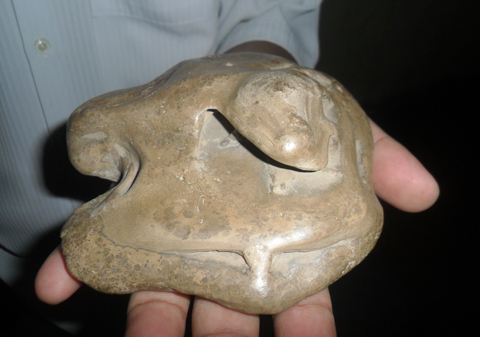 Bộ sưu tập hóa thạch có giá triệu đô ở Kiên Giang